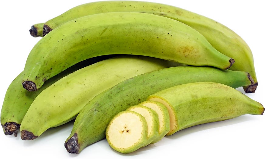 Green Plantain Bananas Information and Facts