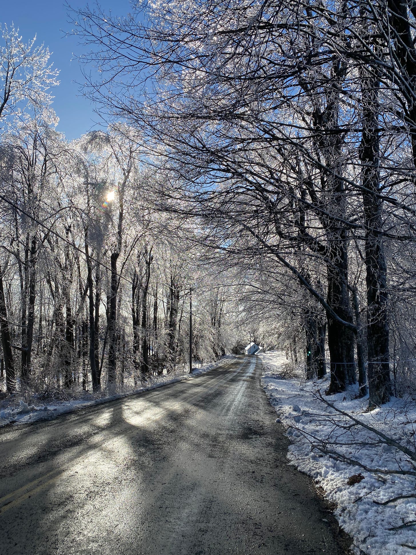 A sunlit road surrounded by sparkling silver trees, their branches covered in glittering ice.