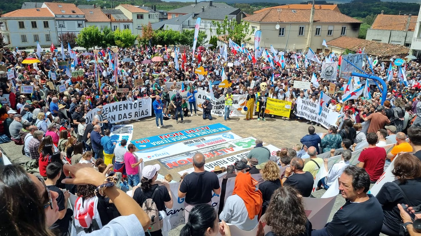 imagen de una manifestación con miles de personas en la que se leen pancartas contra el proyecto de celulosa de Altri