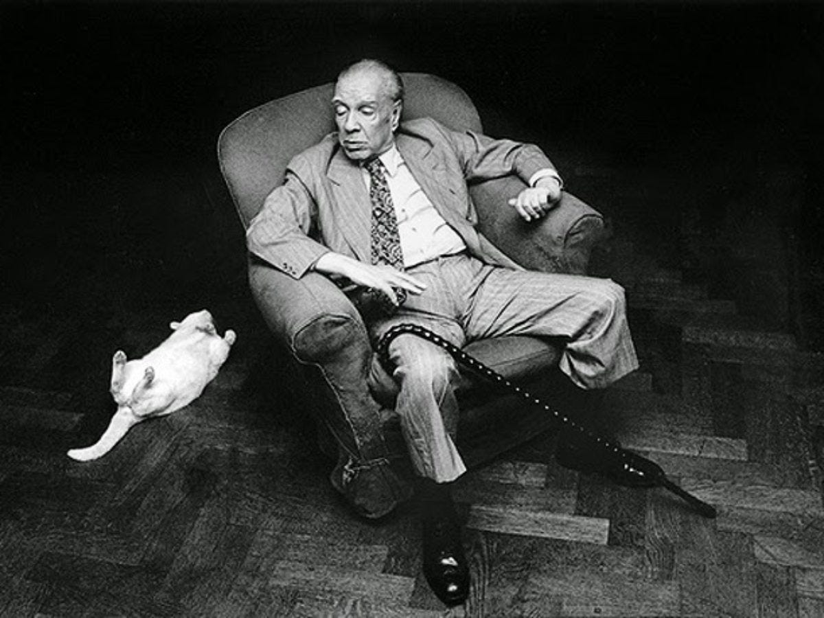 Jorge Luis Borges e a homenagem ao gato Beppo - Vegazeta