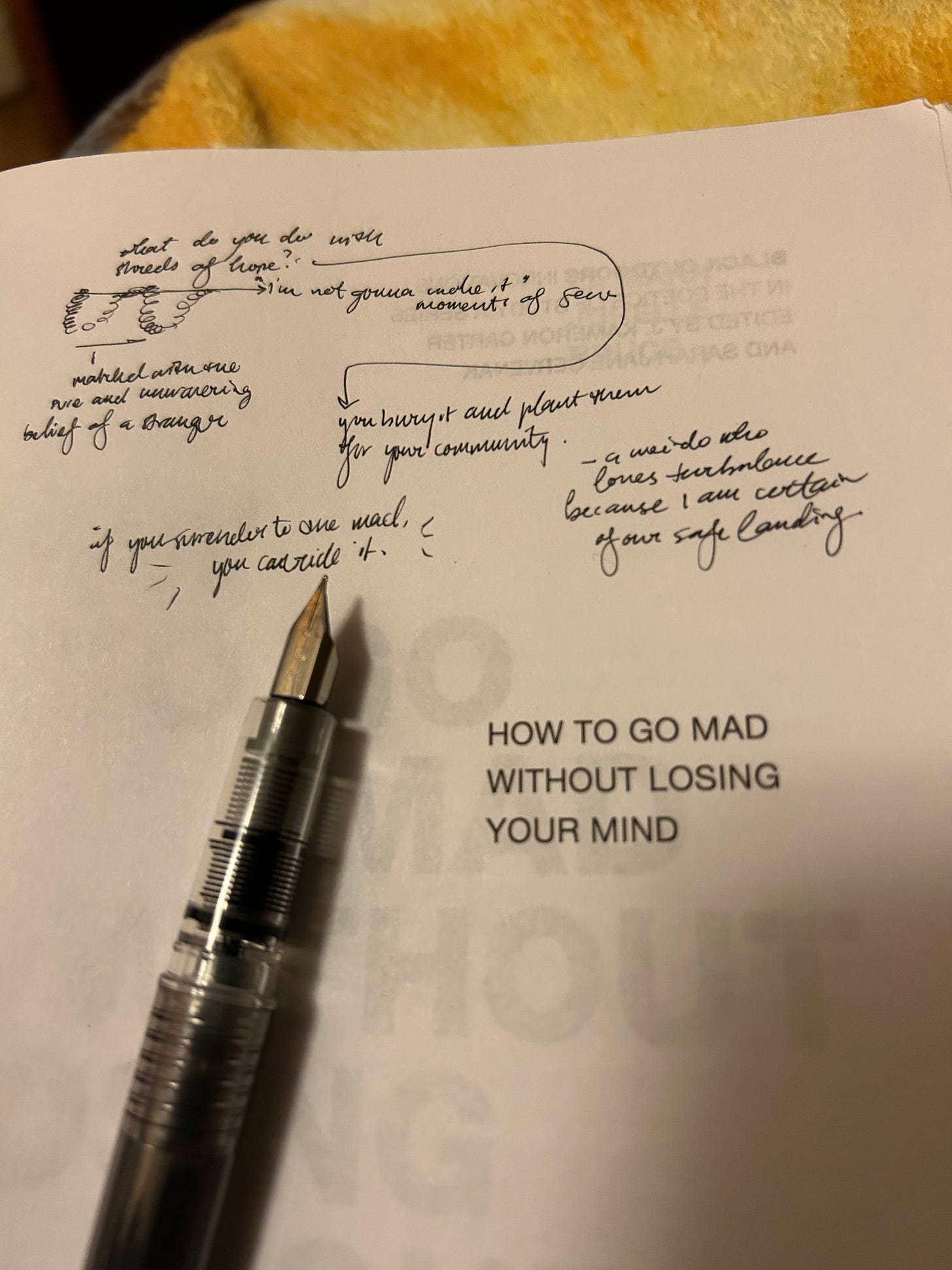 the title page of How to Go Mad without Losing Your Mind, with notes from the author of the essay (ismatu) and a fountain tip nib in frame
