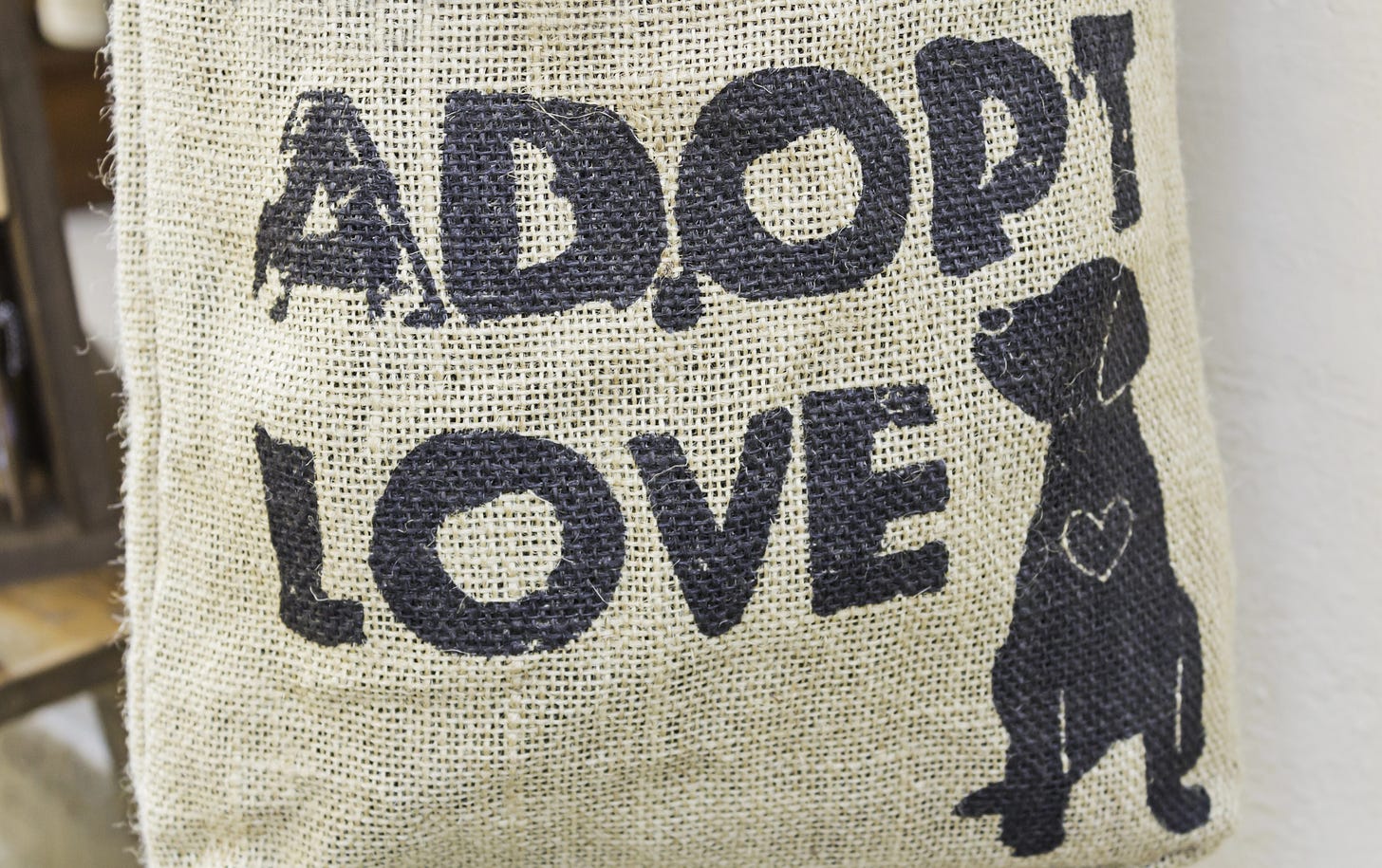 Adopting saves lives and supports ethical treatment of animals. By choosing adoption over shopping, we give deserving animals a second chance and reduce demand for breeding practices that contribute to pet overpopulation.