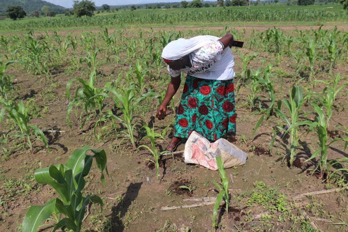 Women's cooperative farm in Dogba. Image by Leocadia Bongben for Mongabay.