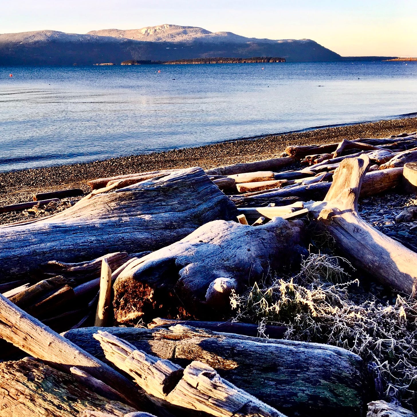 Lummi Island, winter 2016