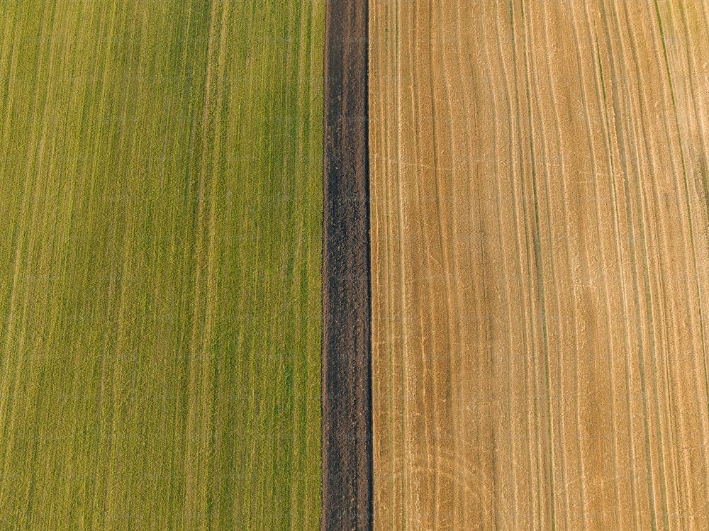 une vue aérienne d’un champ agricole avec deux rangées de cultures