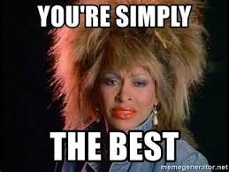 Headshot of Tina Turner with caption You're simply the best.