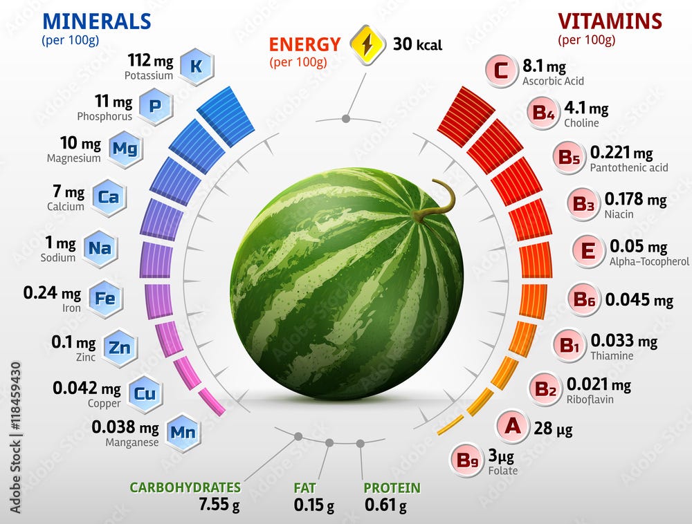 Vitamins and minerals of watermelon fruit. Infographics about nutrients in raw melon. Qualitative vector illustration for watermelon, vitamins, fruits, agriculture, health food, nutrients, diet, etc