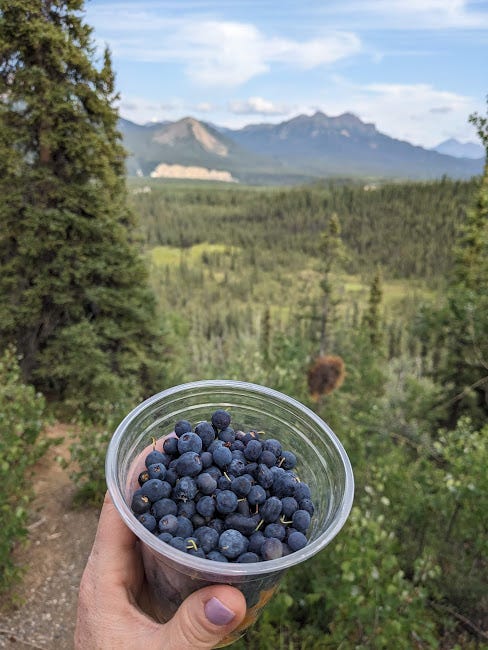 holding up a cup of blueberries on the trail