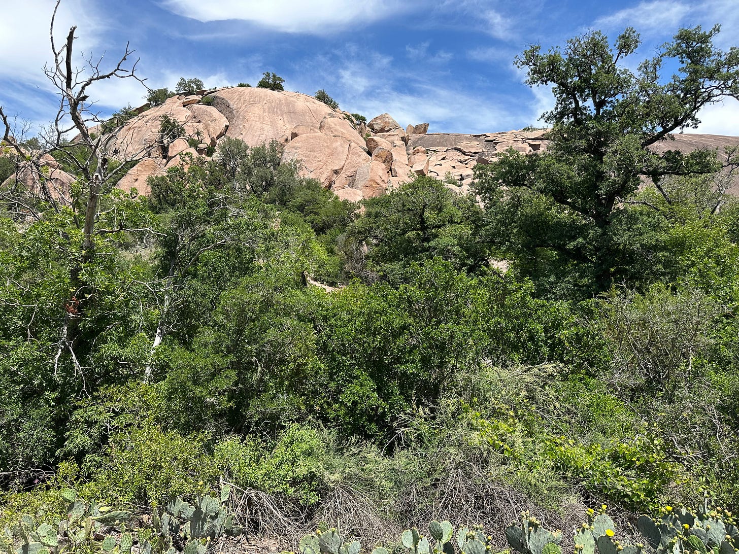 On the Eco Canyon Trail 