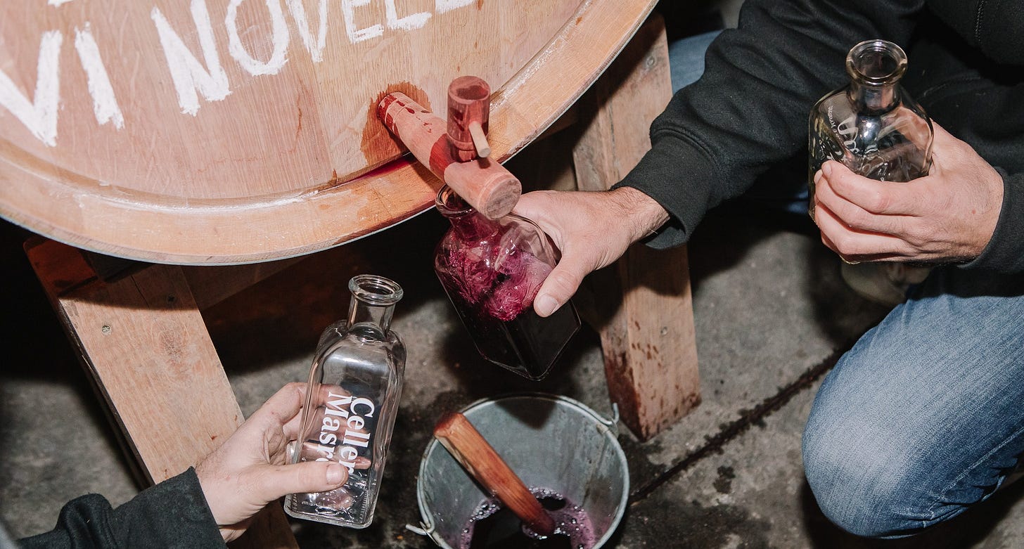 Festa del Vi Novell del Celler Masroig: tot el que has de saber