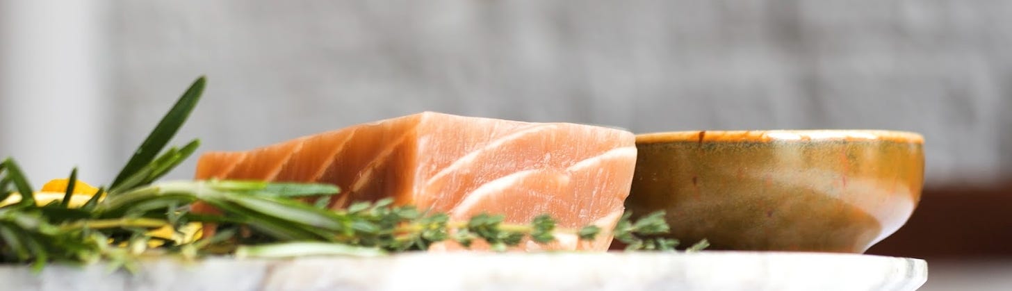 A photo of artificial salmon from New School Foods