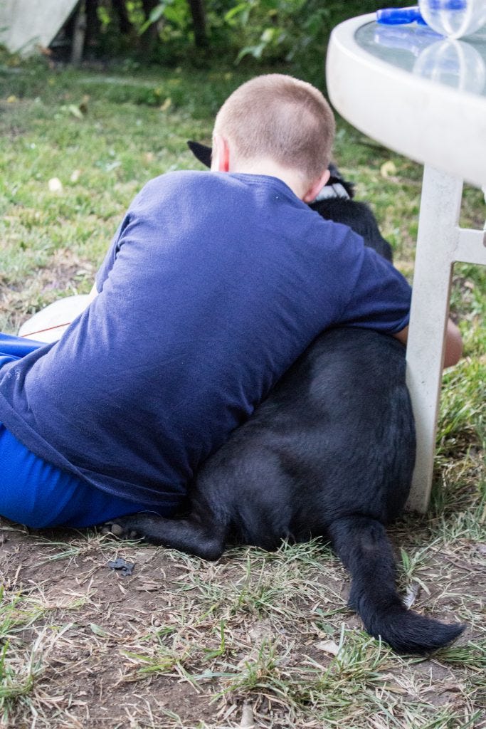 The Little Man and the dog