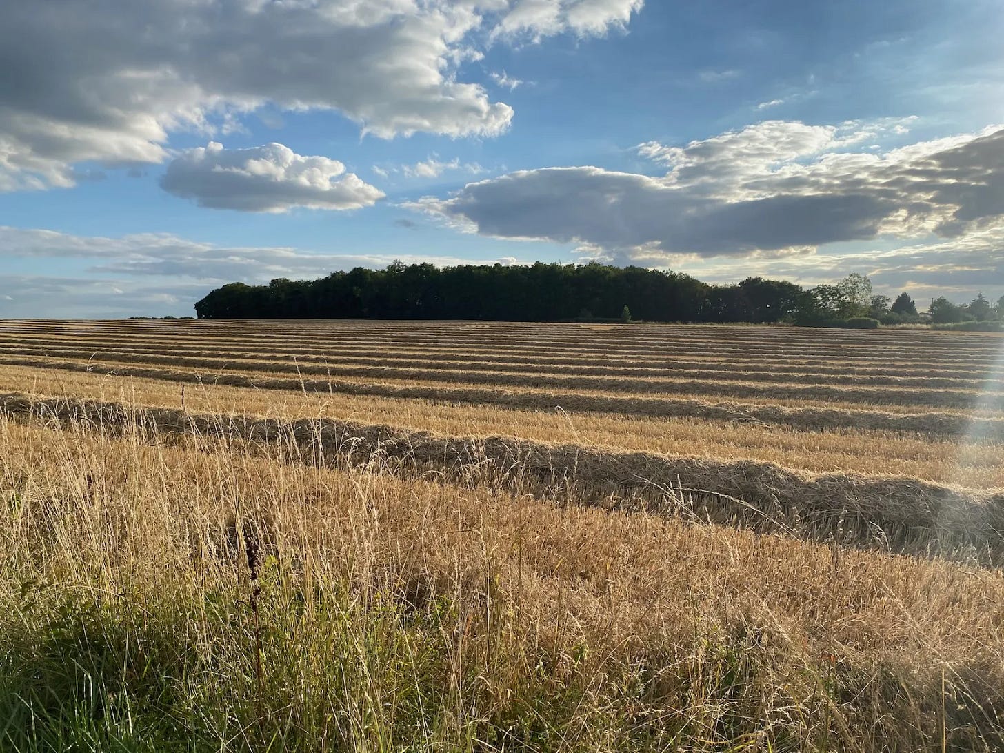 Dans les champs Dans les champs