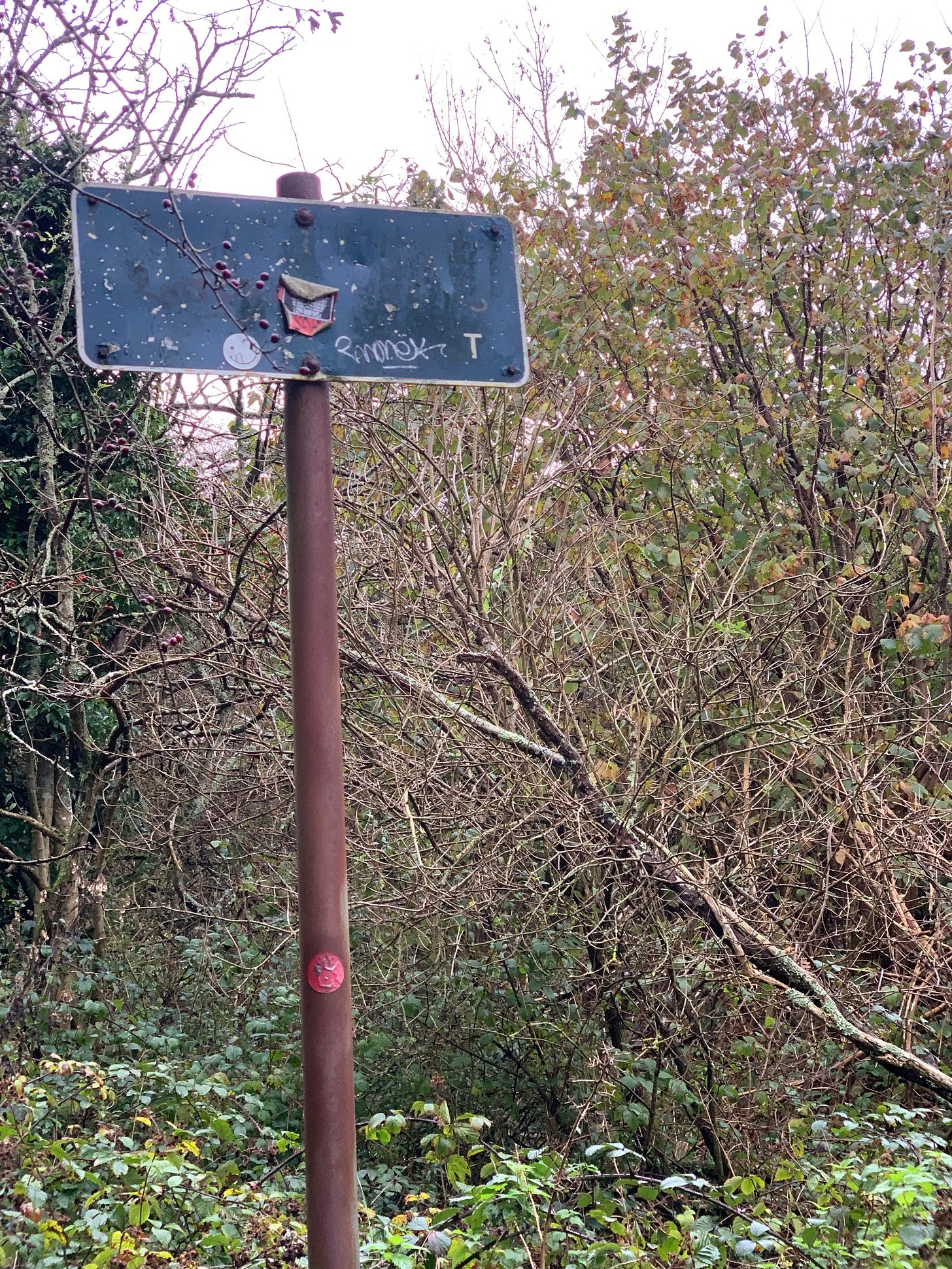 A photo of a dark green sign on a rusty pole in front of some wintry bushes. The writng on the sign has rubbed away and been replaced with stickers and graffiti.