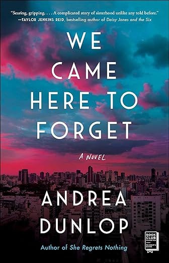 we came here to forget book cover