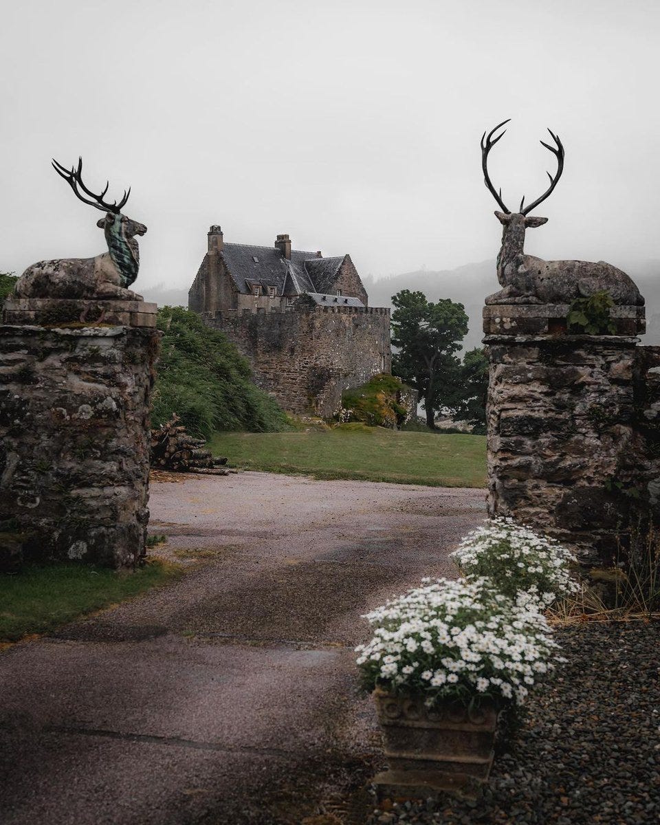 May be an image of deer, castle and the Cotswolds