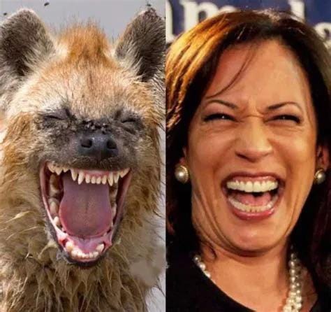 r/totallylookslike - Hyena… and Kamala Harris.