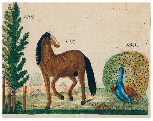 Horse and Peacock (p 277)