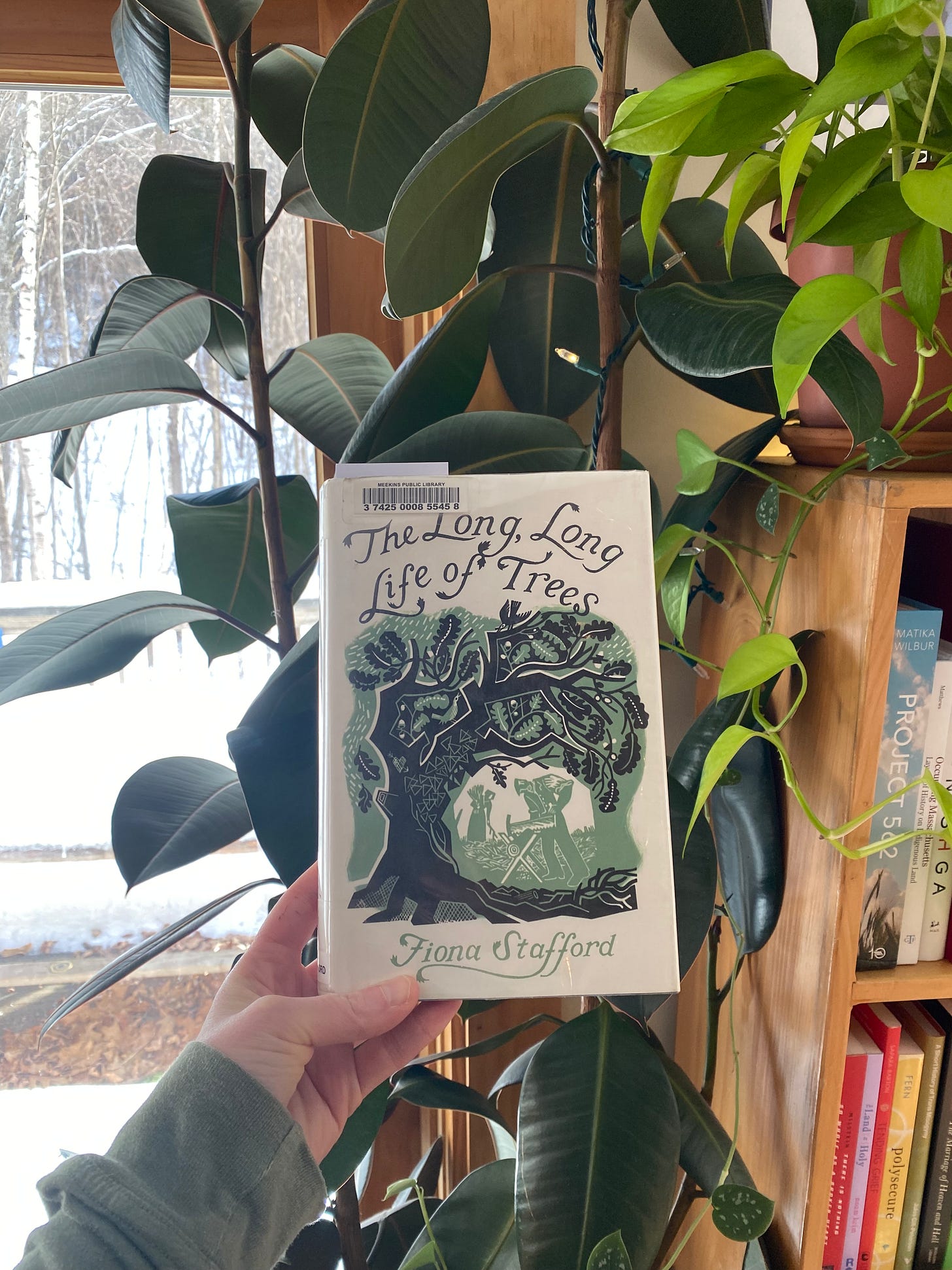 I’m holding up the book mentioned in front of a rubber tree by a sunny window and a bookshelf.