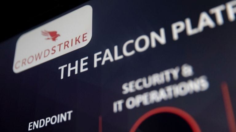 From Wall Street darling to firm behind the world's worst IT outage - who  are CrowdStrike? | Business News | Sky News