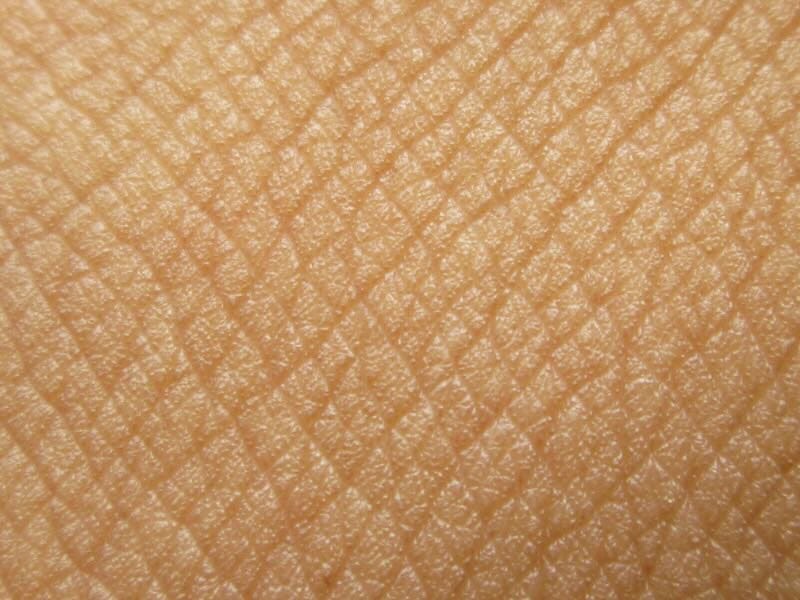 Close up of human skin.