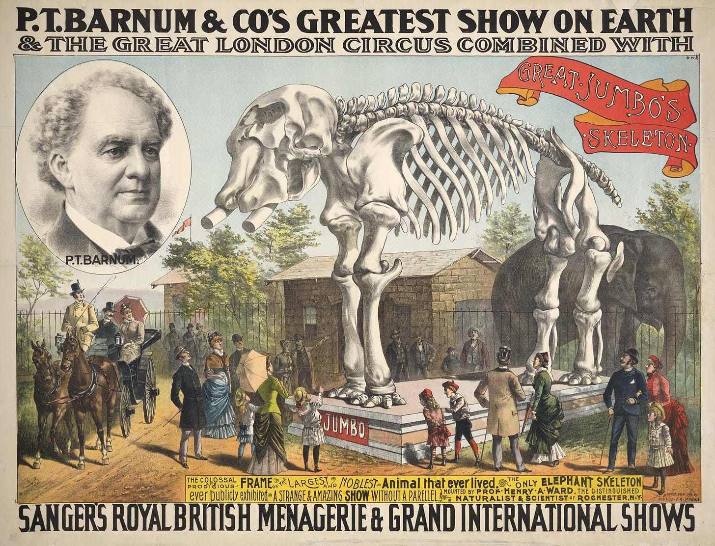 P.T. Barnum | Biography, Circus, Facts, & Quotes | Britannica