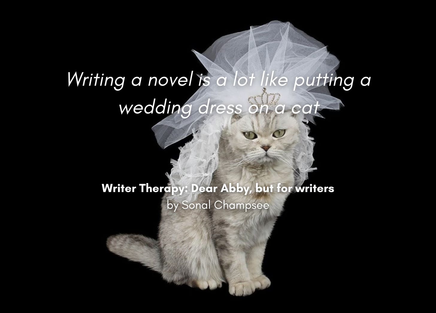 An annoyed, cream-coloured cat wearing a bridal veil and tiara. Quote: "Writing a novel is a lot like putting a wedding dress on a cat." Writer Therapy: Dear Abby, but for writers, by Sonal Champsee