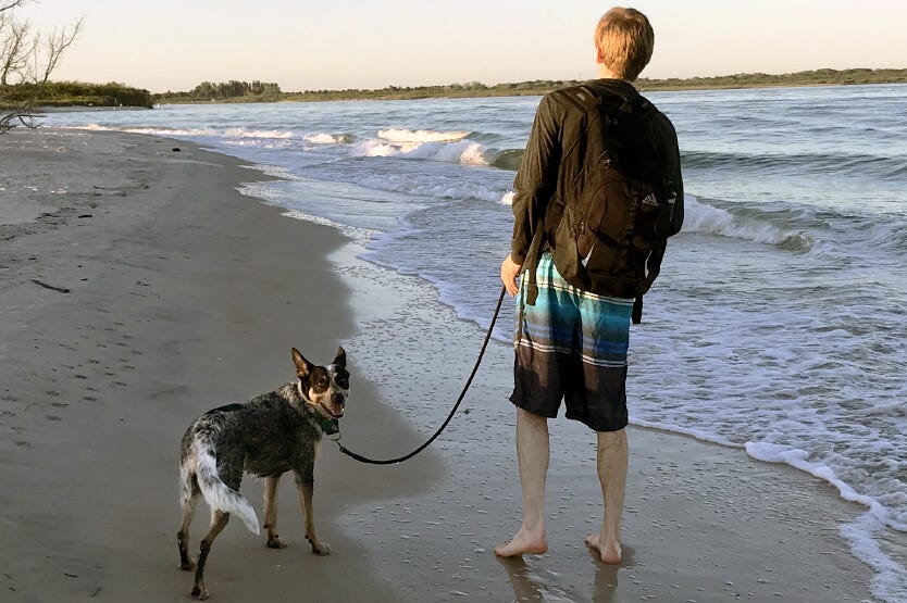 Scout the Australian Cattle dog with her human Sean on Smryna Dunes Dog Beach