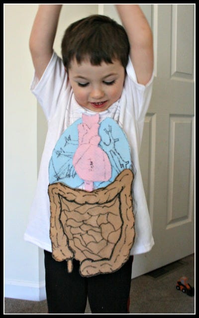 human body tshirt organ study preschool