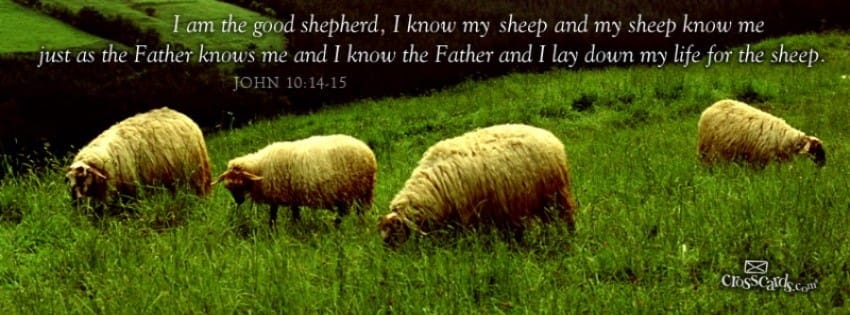 Download Shepherd - Christian Facebook Cover & Banner