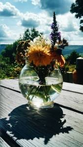 flowers in water