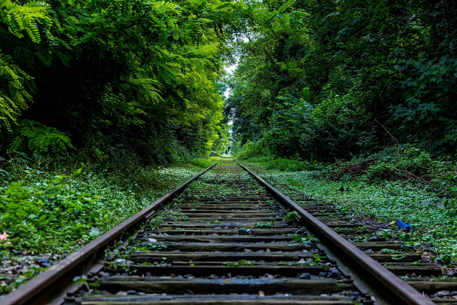 Disused railway line through woods