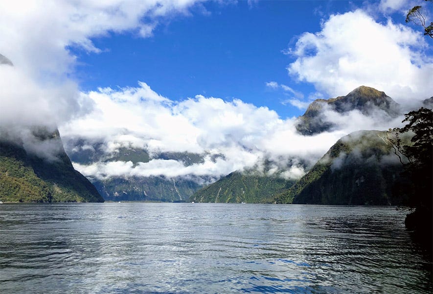 Milford Sound Scenery