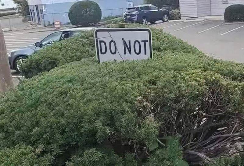 Do not bush