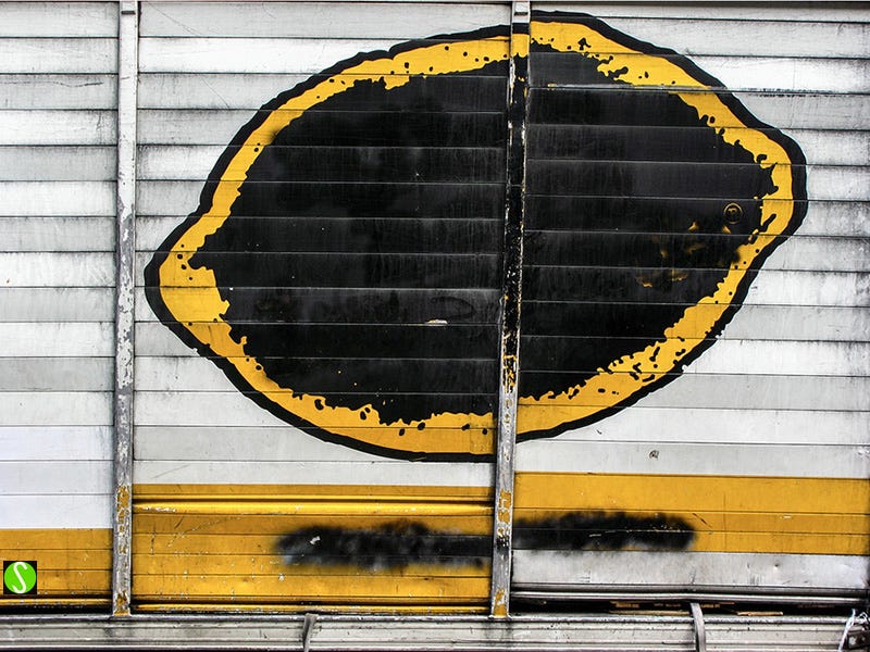 Photograph by Steve Butcher of a blacked out painted lemon on delivery truck