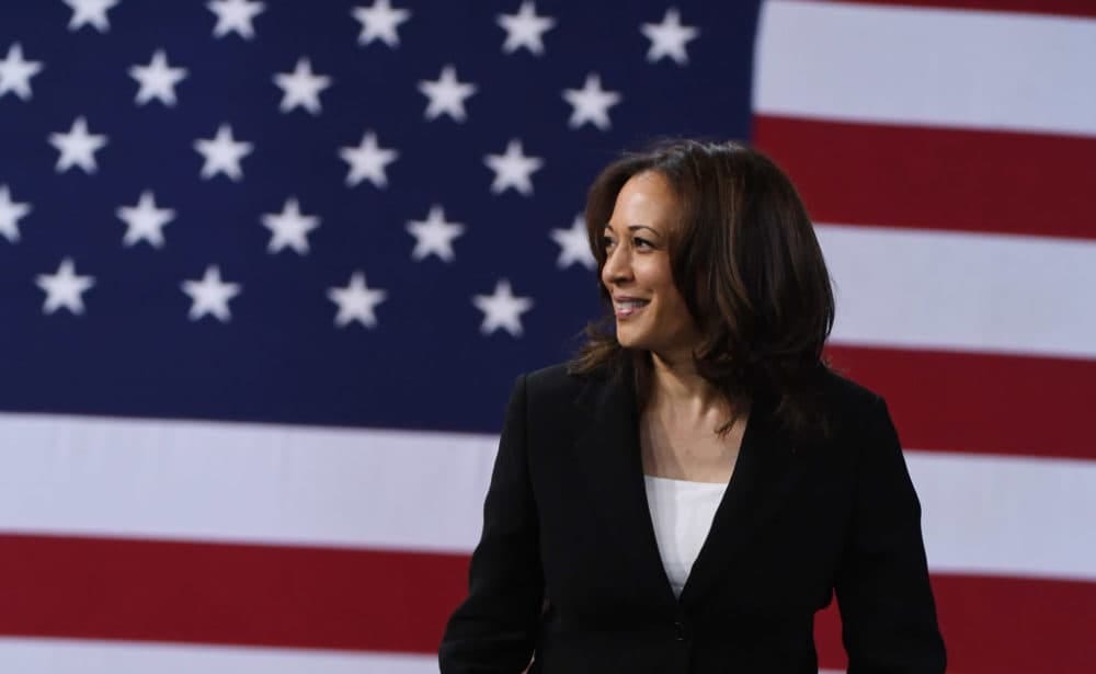 Then Sen. Kamala Harris at the National Forum on Wages and Working People on April 27, 2019 in Las Vegas, Nevada. (Ethan Miller/Getty Images)