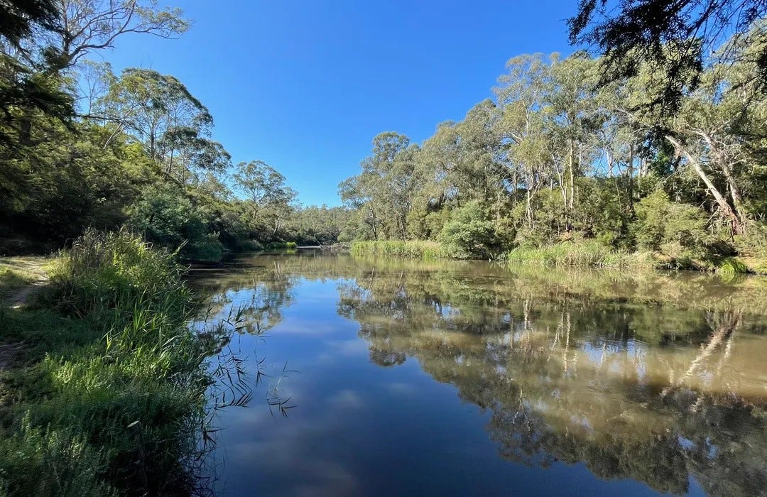 10 Best kid-friendly trails in Warrandyte State Park | AllTrails