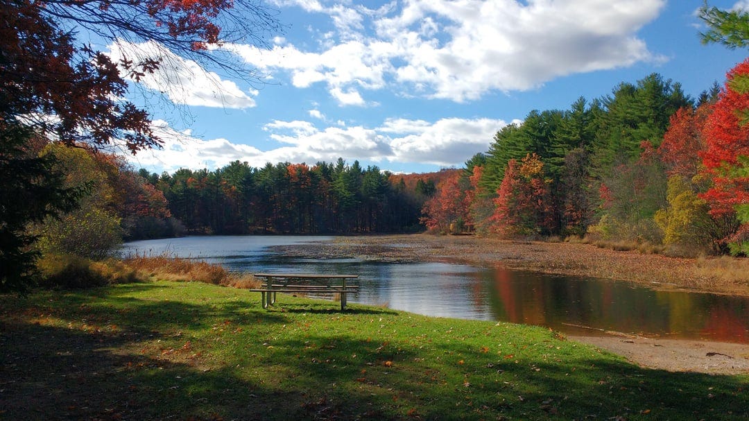 Lake Wintergreen, West Rock Ridge State Park, Hamden, CT : r/Connecticut