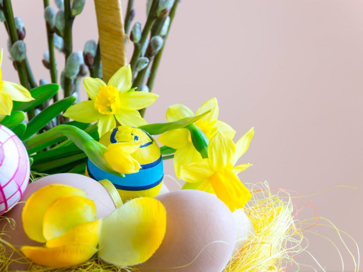 Easter Weekend in Newport County: Egg Hunts, brunches, and more!