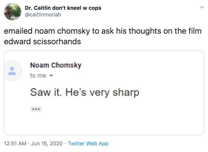 E-mailed Noam Chomsky | Know Your Meme