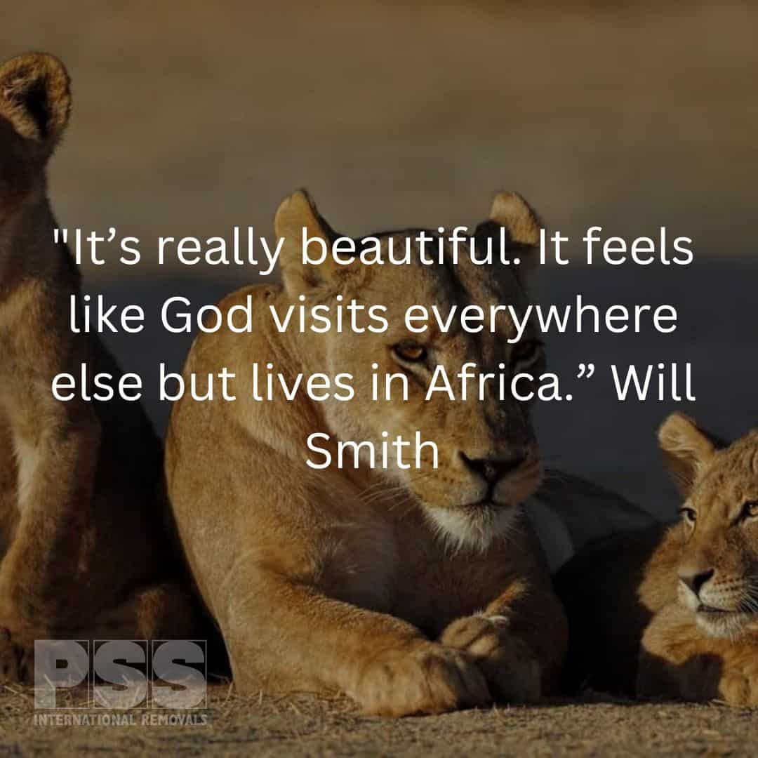 Will Smith Quote about South AFrica