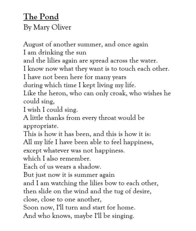 r/Poetry - [POEM] The Pond by Mary Oliver