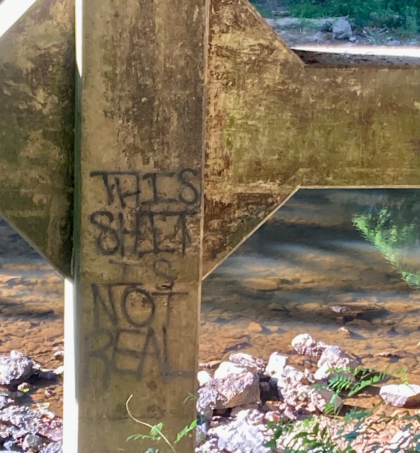 concrete bridge pillar spray painted with legend This Shit Is Not Real