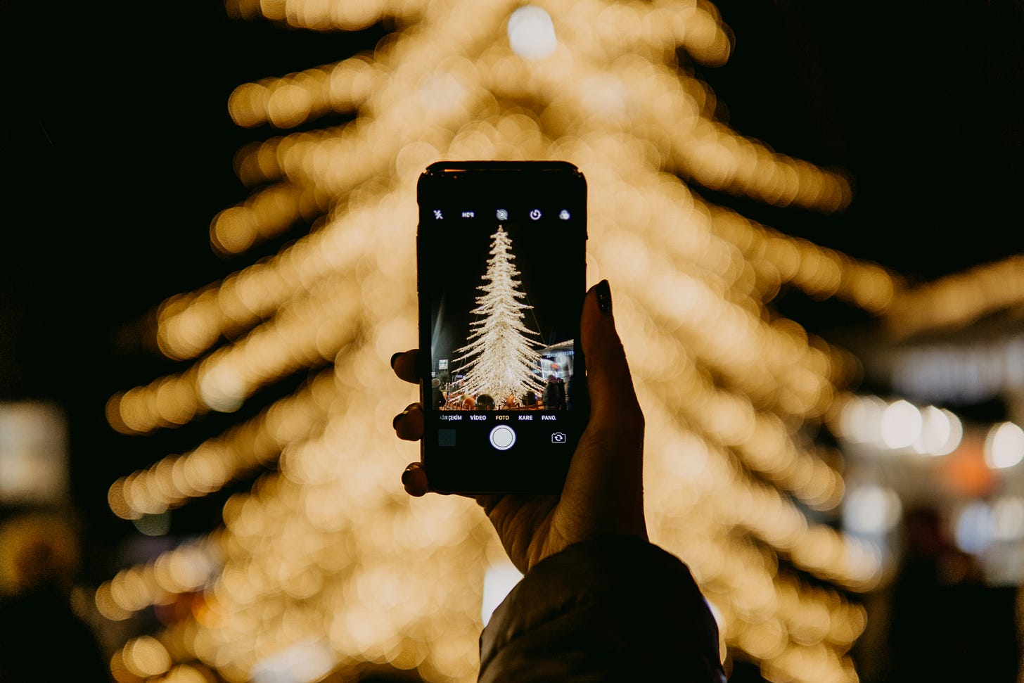 Person taking a picture of a decorated tree