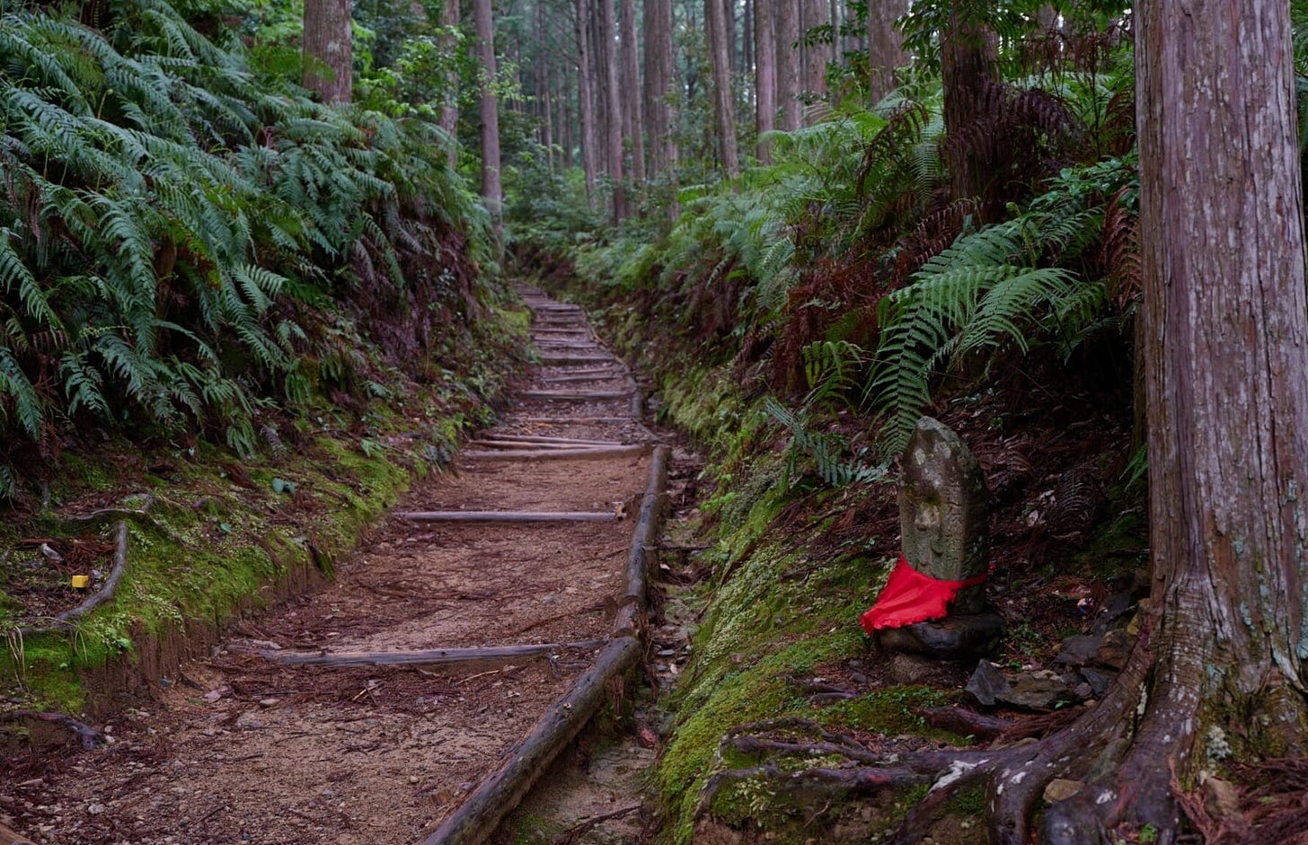 Kumano Kodo Nakahechi