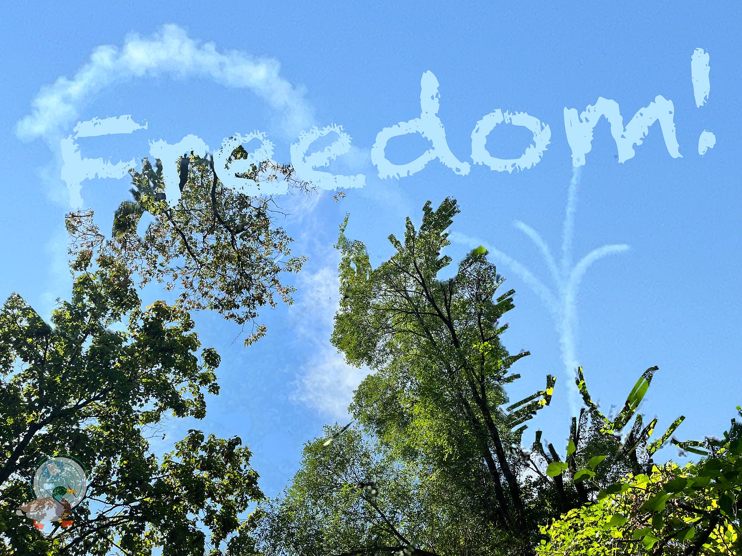 Trees reach into a blue sky with contrails looping to the left and bursting upward into a flower shape that becomes one line of the letter 'm' in the word 'Freedom!' written in white chalkboard font.