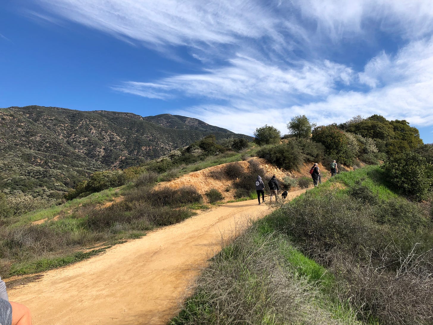 A dirt trail on a dark green and gray hillside with a pretty blue sky above.