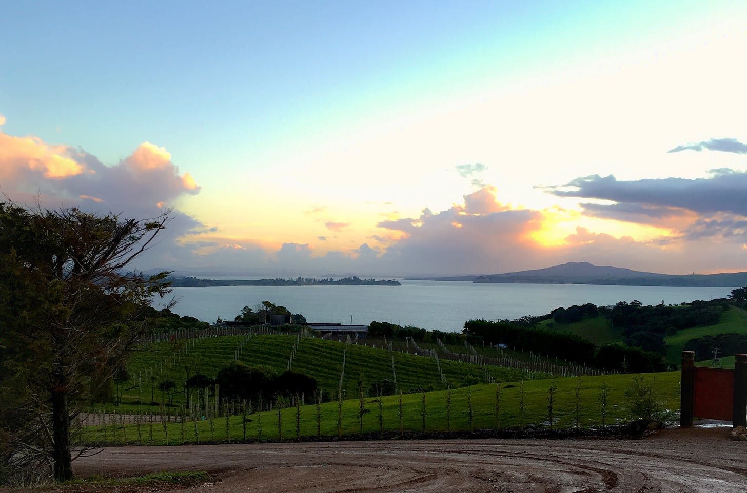  View of Auckland overlooking the road between Mudbrick Vineyards & Jurassic Ridge on Waiheke Island