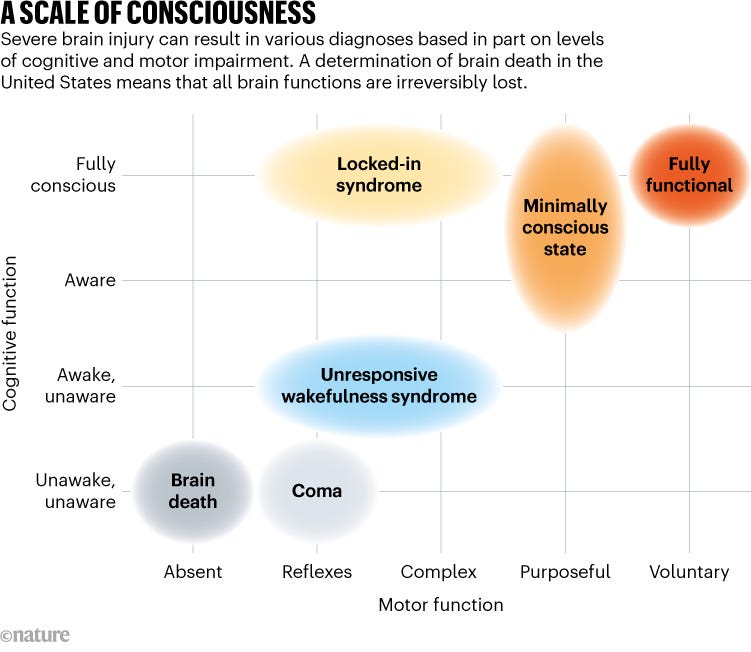 A SCALE OF CONSCIOUSNESS. Chart shows various diagnoses based in part on levels of cognitive and motor impairment.