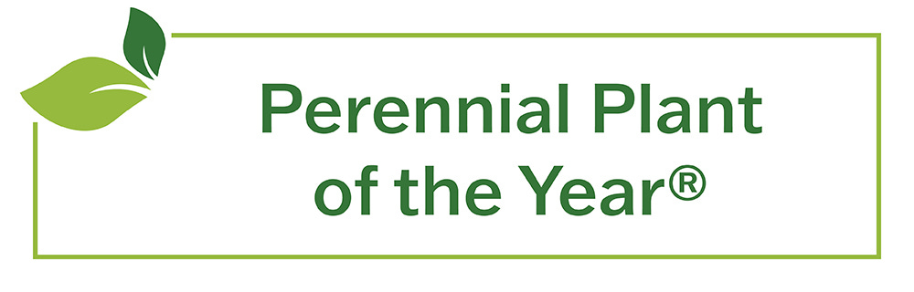 Perennial Plant of the Year Logo